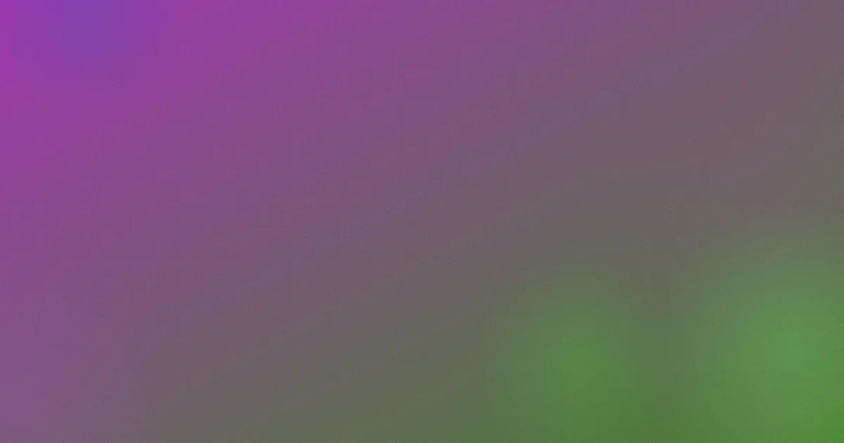 365day测评：避坑版流程